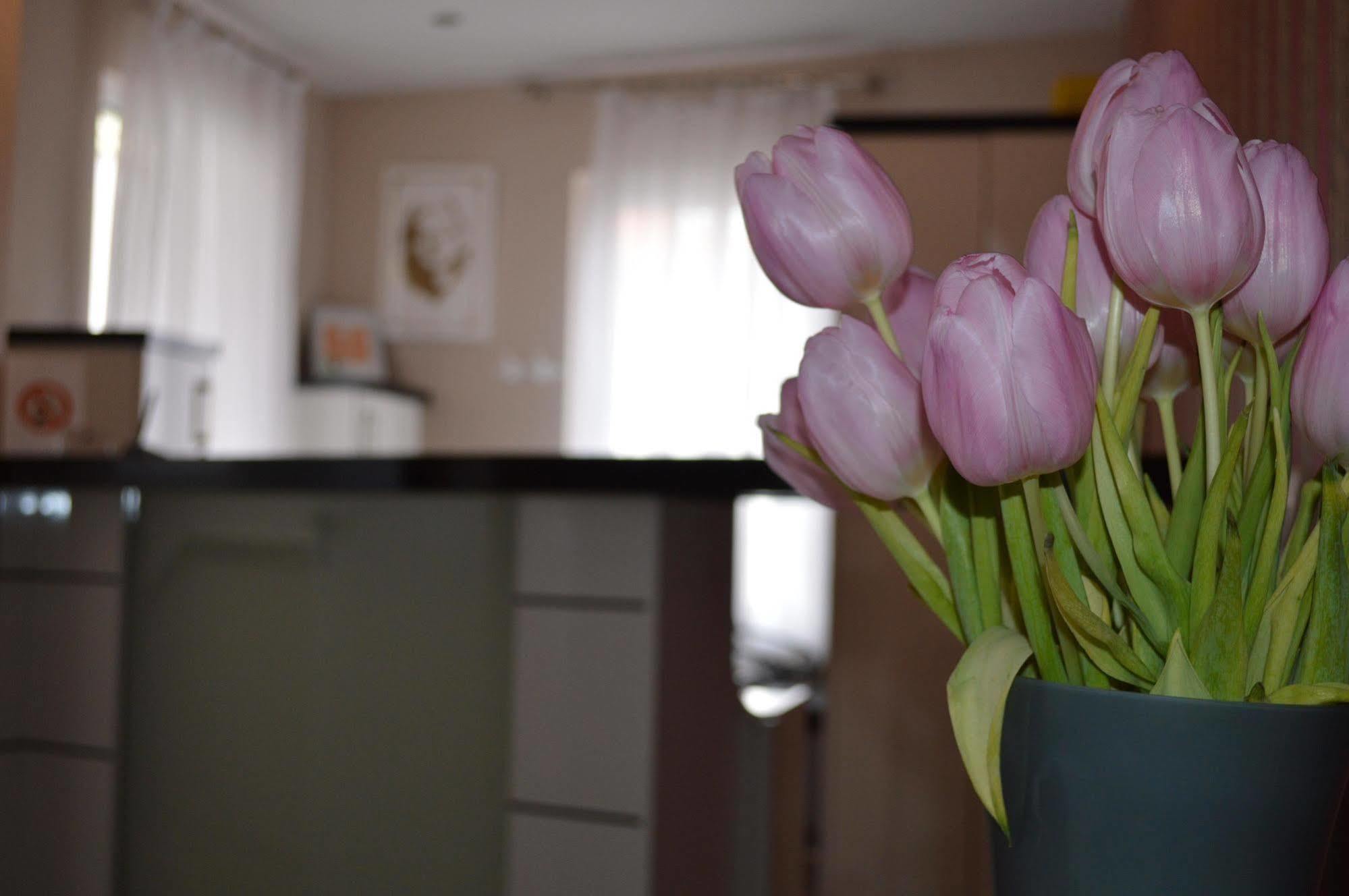 Erde Hotel 3*